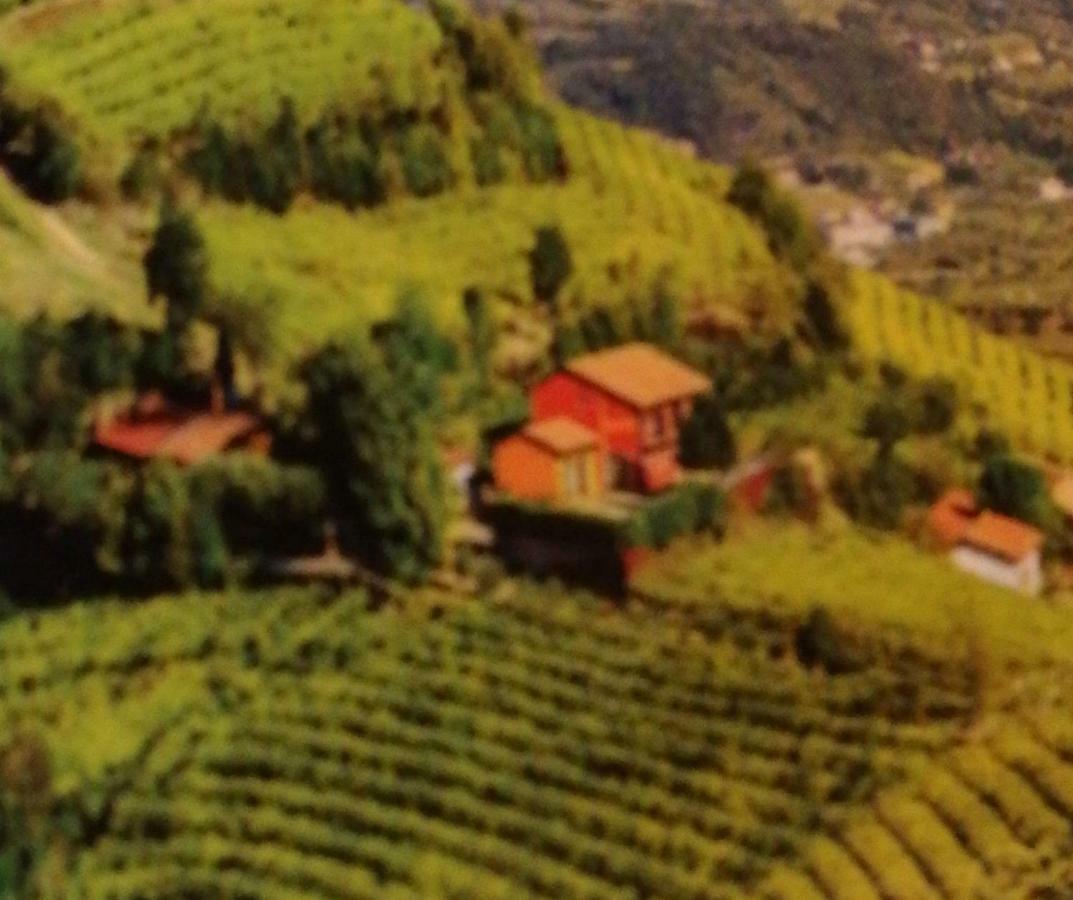 Agriturismo La Preara Monteforte dʼAlpone Buitenkant foto